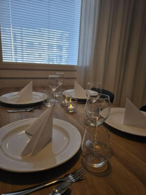Apartment Vartiokatu in Rovaniemi